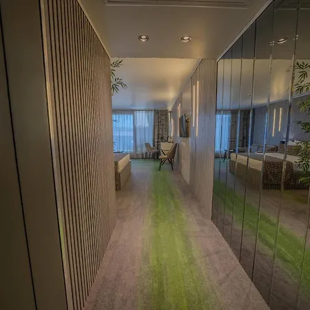داماتريس بالاس 3* اسطنبول
